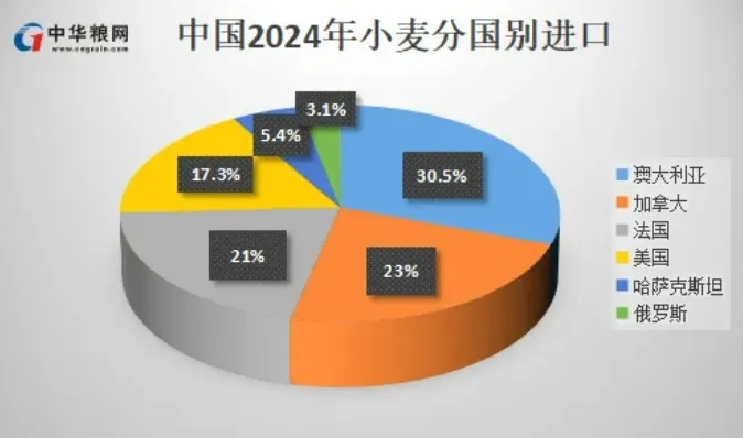 2024中国粮食进出口数据：大豆占比超60%，进口额全球第一