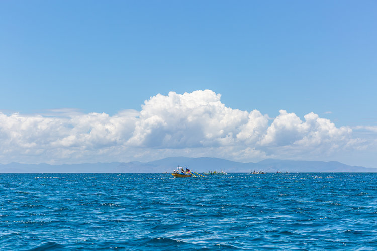 海关数据公司哪家好？怎么挑选好的海关信息平台？